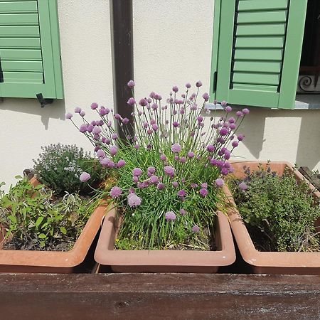 Willa Cascina Teresina Monferrato Piscina Cortazzone Zewnętrze zdjęcie