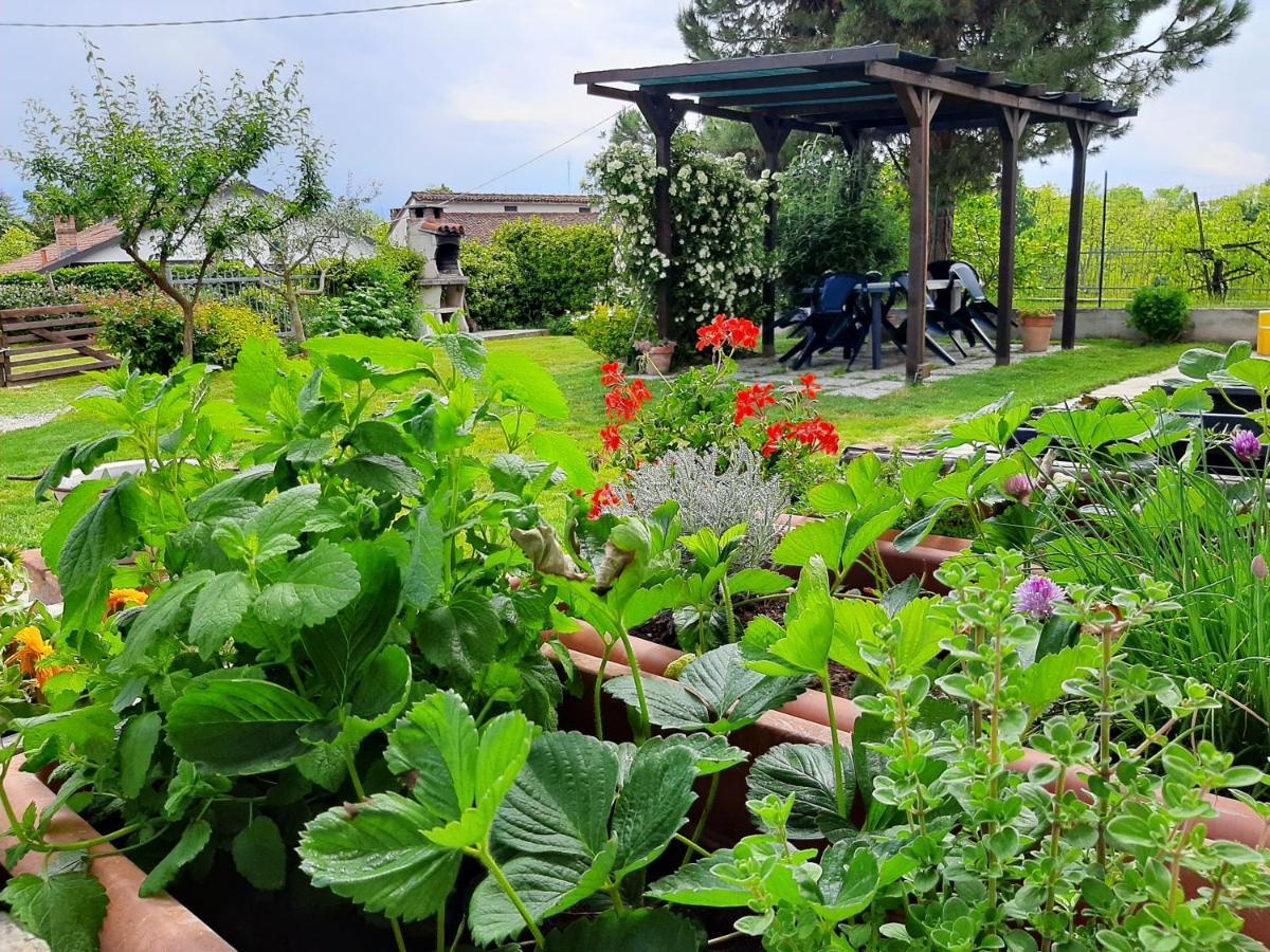 Willa Cascina Teresina Monferrato Piscina Cortazzone Zewnętrze zdjęcie