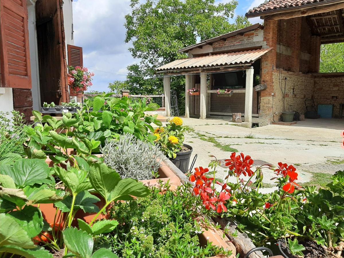 Willa Cascina Teresina Monferrato Piscina Cortazzone Zewnętrze zdjęcie